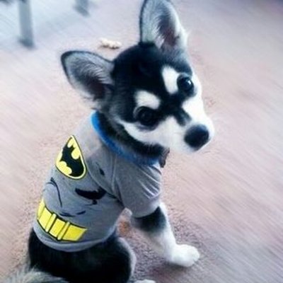 Loki Payne Lokixpayne Twitter