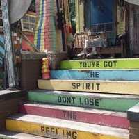 Dr. Krysta Ryzewski (@krystaryzew) 's Twitter Profile Photo