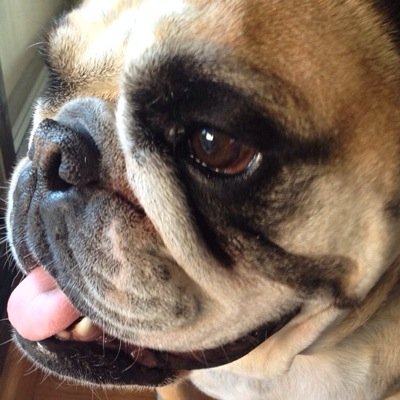 maxfoster24's profile picture. 