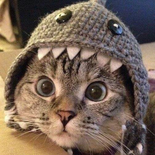 imabrattinella's profile picture. Eventually all things fall into place. Until then, laugh at the confusion, live for the moments, and know everything happens for a reason.