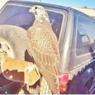 ‏خلك مثل المخرج⚡️عارف كل القصه⚡️وتاركهم يمثلون✨