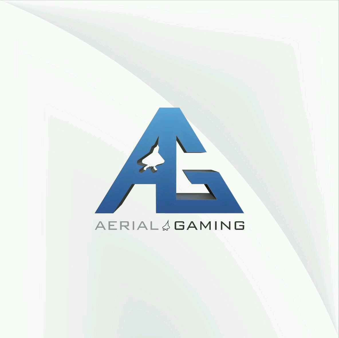 Up and coming eSports organization | Powered by @ignitesozo | @battlebeaverc | @noscopeglasses | Owner of @Aerial__Designs