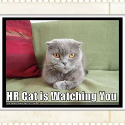 HR Professional/ Cat Person/ Wildlife Advocate/ Vegan