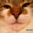 Kunkel Karin - @KunkelKarin1 - Twitter