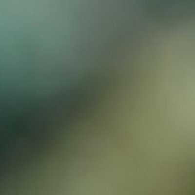 ねこ