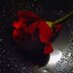 سِـحًـر آلَوٌوٌفُـآآ (@hamsa333311) Twitter profile photo سِـحًـر آلَوٌوٌفُـآآ (@hamsa333311) Twitter profile photo
