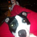 Sarah Ruddy - @sarah_ruddy - Twitter