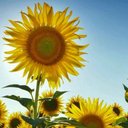 Josephine Ho Xiuying - @josephinehxy - Twitter