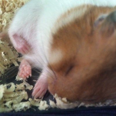 perversion930's profile picture. 