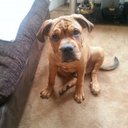 Keith Chalmers - @keefykat - Twitter