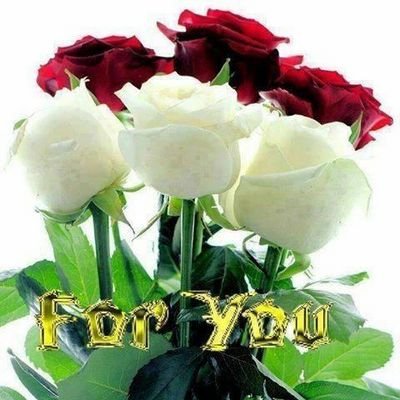 jessica09010426's profile picture. 