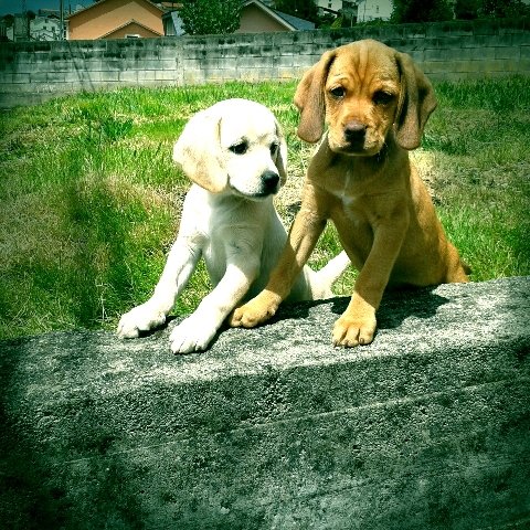 Danimonsal's profile picture. 