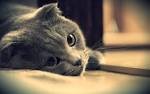 Only you in my mind...