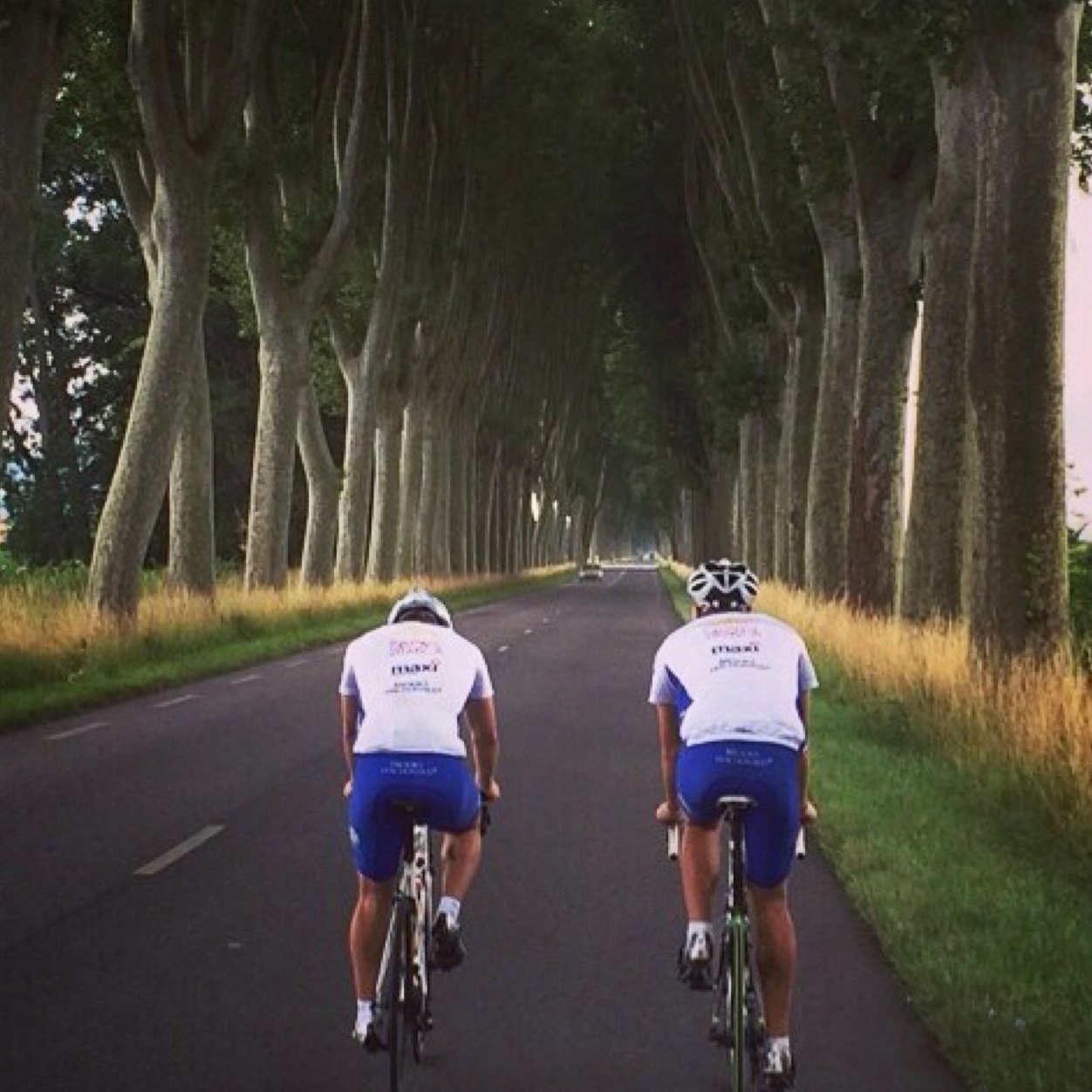 charliecowdrey's profile picture. Charlie Cowdrey