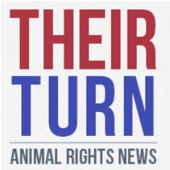 Donny Moss is an #AnimalRights journalist with https://t.co/xjgp7YoOay, a doc filmmaker and campaign organizer. #KangaroosAreNotShoes #plantbased #vegan