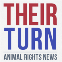 Animal Rights News(@theirturn) 's Twitter Profile Photo