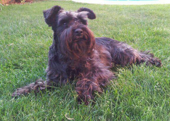 maribelitasz's profile picture. 