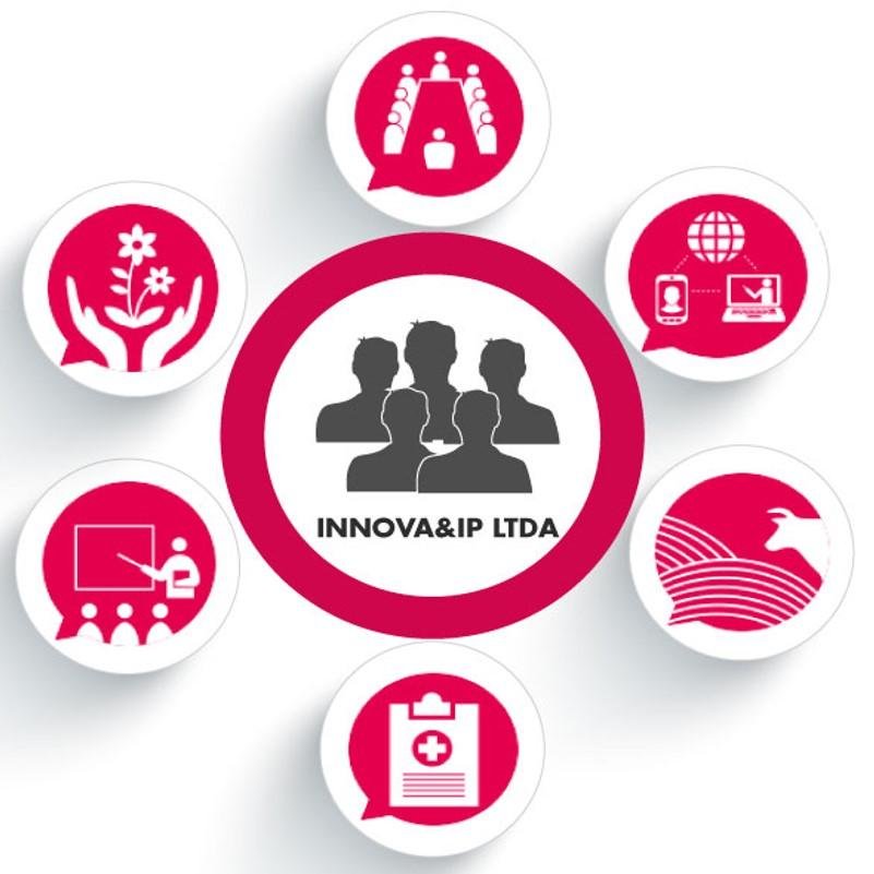 La formulación, gestión, desarrollo y articulación de proyectos en diferentes áreas de  conocimiento.