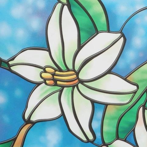 windowfilms254's profile picture. Enjoy enhanced privacy and aesthetics with decorative window film... suitable for both commercial and residential premises.