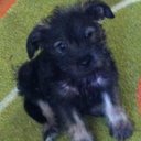 John amado - @590Amado - Twitter