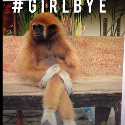 NewNonestro's profile picture. ✌️