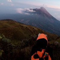 Novian Khoirul A (@iyanyonoo) 's Twitter Profile