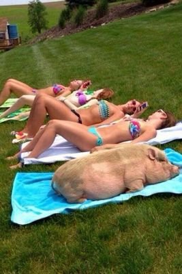 Gredostando's profile picture. Todos los dias sale el sol