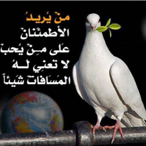 0JgJlJljJj's profile picture. ‏خليجنا واحد 