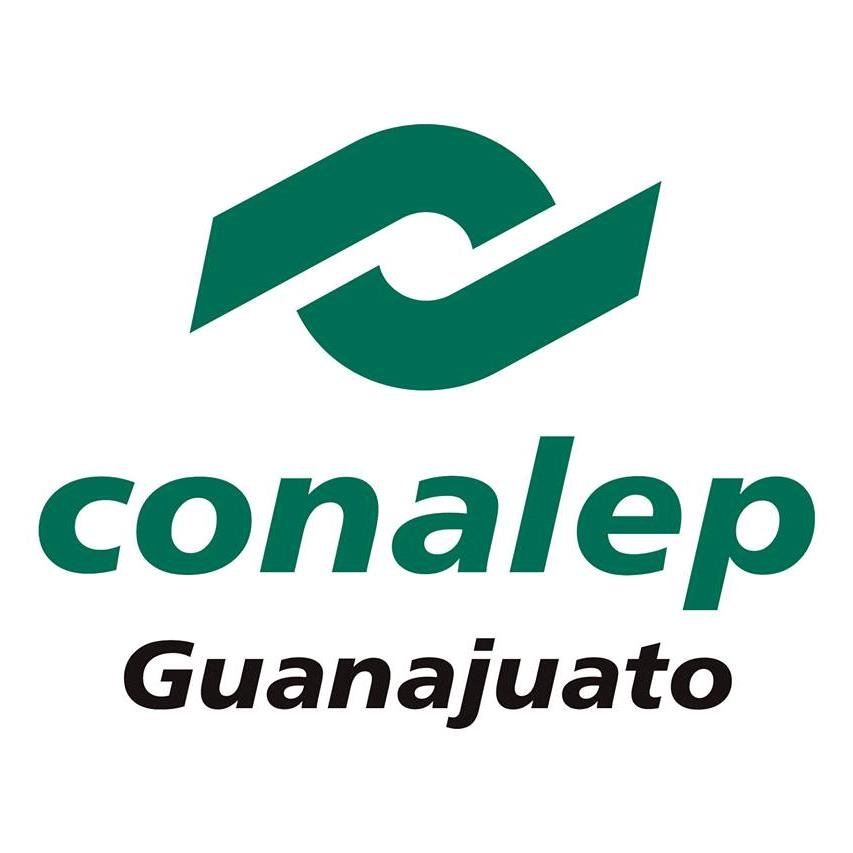 Conalep Guanajuato Profile