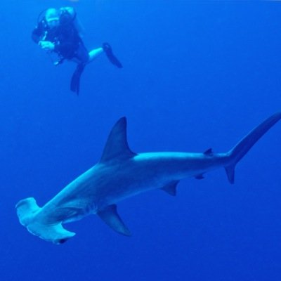 I am a livestock Farmer and trader from Perth Scotland. I also enjoy scuba diving.