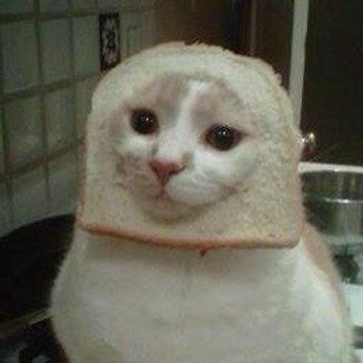 agent_roblove's profile image