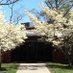 Meckler Library (@tps_library) Twitter profile photo Meckler Library (@tps_library) Twitter profile photo