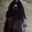 richard  stender - @bono05 - Twitter