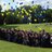 jackets2college's profile image