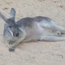 Bryan Cunningham - @Cunningh13Bryan - Twitter