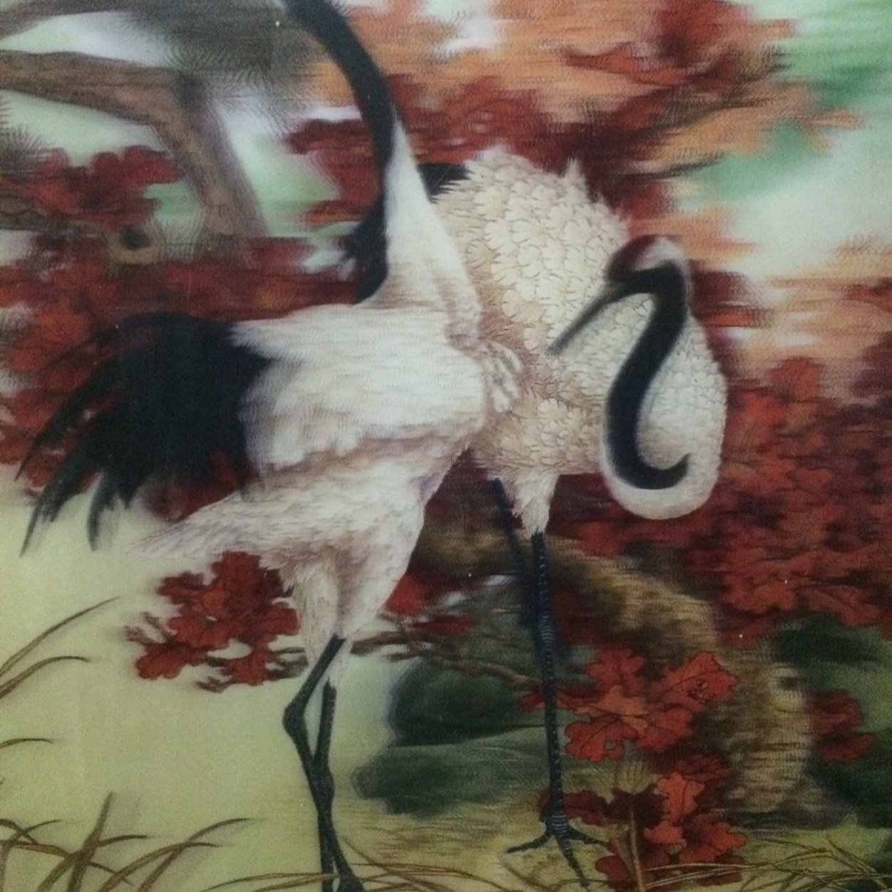 emadstar70's profile picture. 