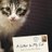 ALettertoMyCat's profile image