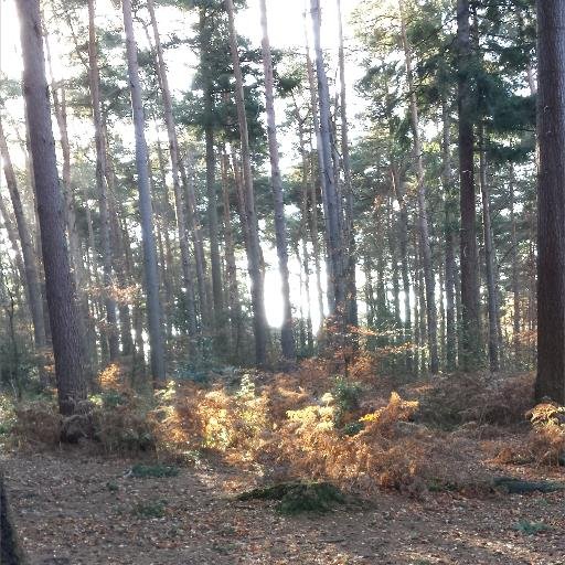 VickycookeVicky's profile picture. 