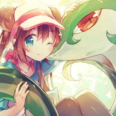 | 16 | Entrenadora Pokemon, viajo con mi gran compañero Serperior. Adoro a los pokemon, asi que los protegere a toda costa! Team Plasma los derrotaré!