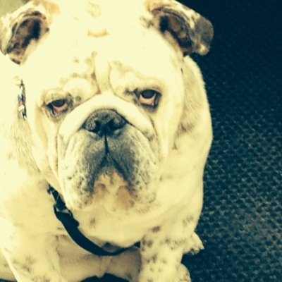 Subs76's profile picture. 