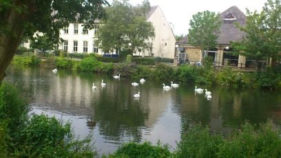 An interesting and informative page about Chippenham and things to do in and around the area. Also helps to advertise local businesses and properties.