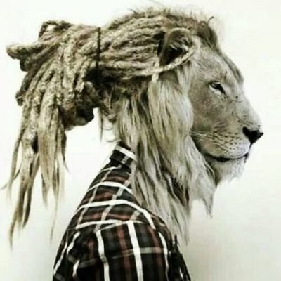 luis83705's profile picture. Soy de esas personas que cuando dicen la verdad, se empiezan a reír y parecen que mienten.