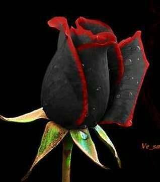 DarkeAndDivine's profile picture. Artist and Designer Of of wearable art and crafts. Owner of Darke and Divine