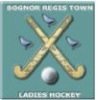 Bognor Town Ladies Hockey club play in Division 1 of the Sussex Ladies League. In May 2014 we won the SHA Vase Competion.