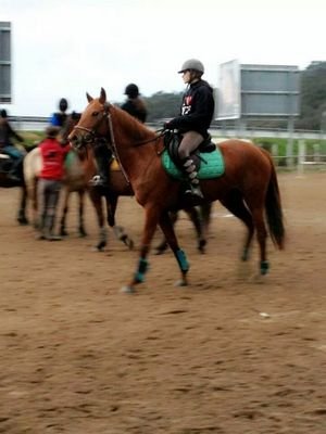 Lady_Aja's profile picture. 