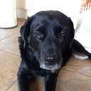 stu smith - @stylish_3 - Twitter