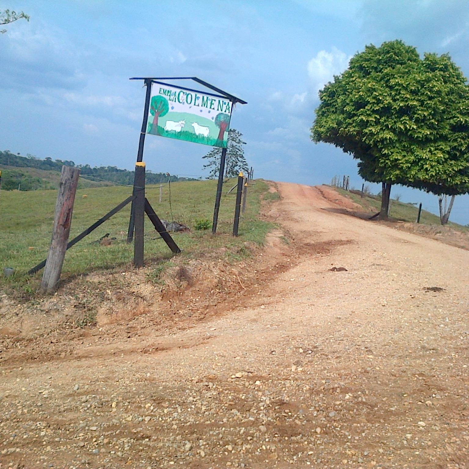 rosmi250276's profile picture. 