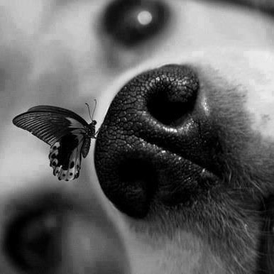 leabors's profile picture. 