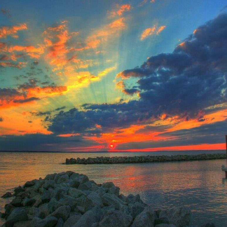 MaureenMStone's profile picture. 