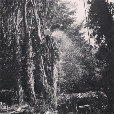North Norfolk based Tree Surgery company with years of experience. Call for a free quote. Any questions please ask.